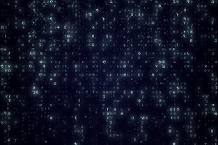 协议范文 上海市区房子租房